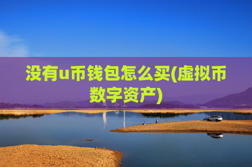 没有u币钱包怎么买(虚拟币数字资产)