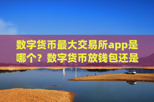 数字货币最大交易所app是哪个?数字货币放钱包还是交易所