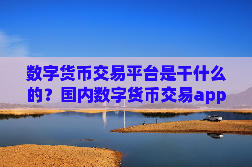数字货币交易平台是干什么的？国内数字货币交易app官网