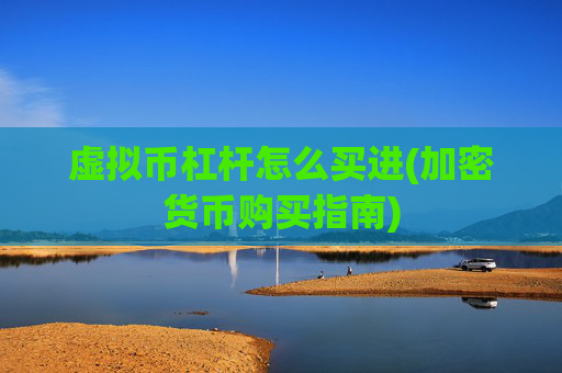虚拟币杠杆怎么买进(加密货币购买指南)
