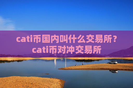 cati币国内叫什么交易所？cati币对冲交易所