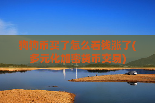 狗狗币买了怎么看钱涨了(多元化加密货币交易)