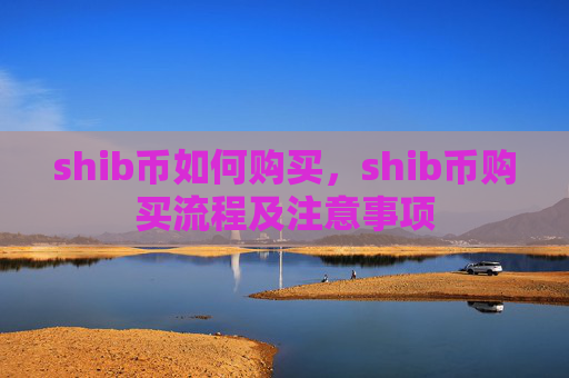 shib币如何购买，shib币购买流程及注意事项