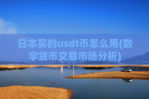 日本买的usdt币怎么用(数字货币交易市场分析)