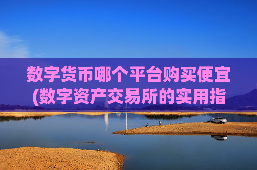 数字货币哪个平台购买便宜(数字资产交易所的实用指南)