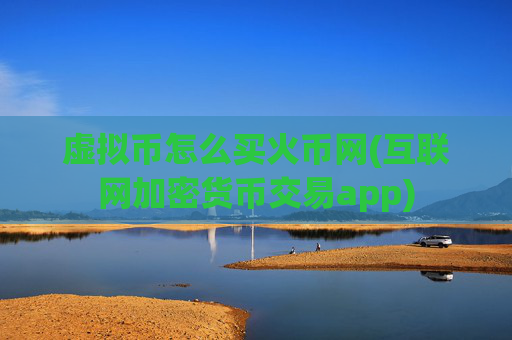 虚拟币怎么买火币网(互联网加密货币交易app)