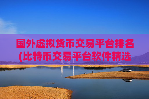 国外虚拟货币交易平台排名(比特币交易平台软件精选)