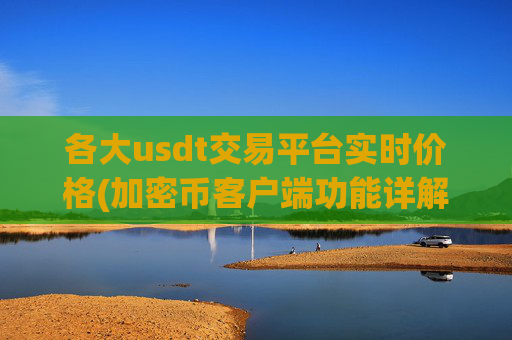 各大usdt交易平台实时价格(加密币客户端功能详解)
