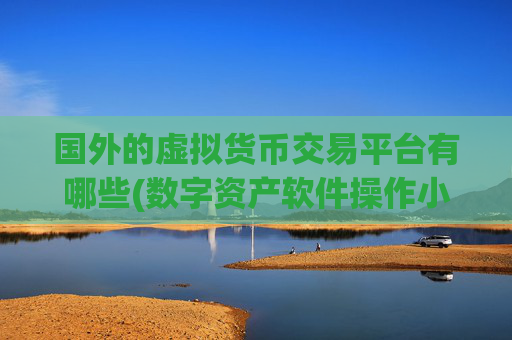 国外的虚拟货币交易平台有哪些(数字资产软件操作小窍门)