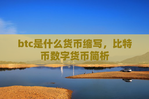 btc是什么货币缩写，比特币数字货币简析