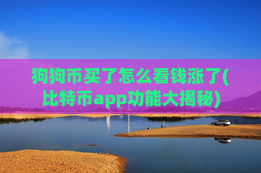 狗狗币买了怎么看钱涨了(比特币app功能大揭秘)