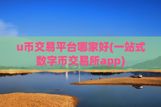 u币交易平台哪家好(一站式数字币交易所app)