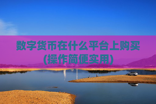 数字货币在什么平台上购买(操作简便实用)