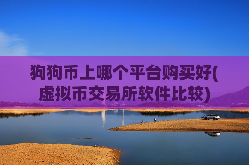 狗狗币上哪个平台购买好(虚拟币交易所软件比较)