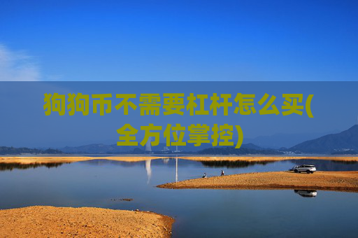 狗狗币不需要杠杆怎么买(全方位掌控)