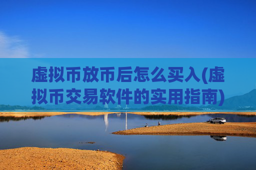 虚拟币放币后怎么买入(虚拟币交易软件的实用指南)