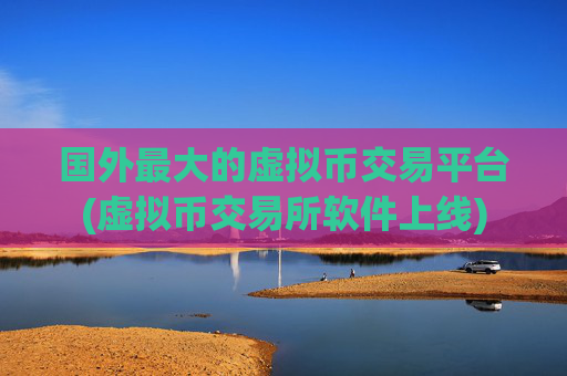 国外最大的虚拟币交易平台(虚拟币交易所软件上线)