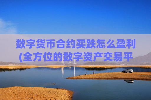 数字货币合约买跌怎么盈利(全方位的数字资产交易平台)