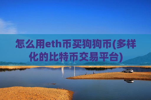 怎么用eth币买狗狗币(多样化的比特币交易平台)