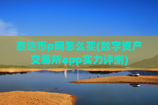 泰达币p网怎么买(数字资产交易所app实力评测)