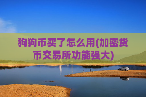 狗狗币买了怎么用(加密货币交易所功能强大)
