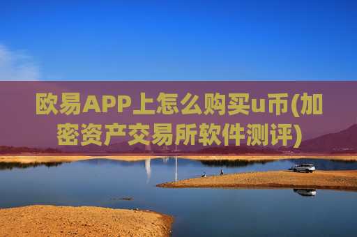 欧易APP上怎么购买u币(加密资产交易所软件测评)
