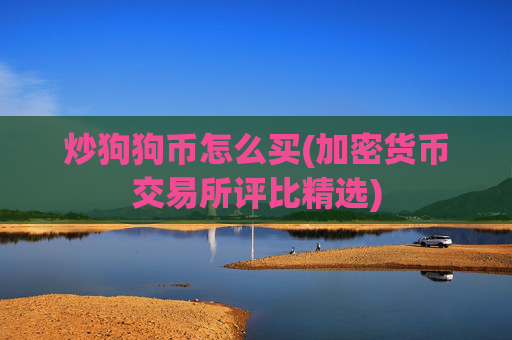 炒狗狗币怎么买(加密货币交易所评比精选)