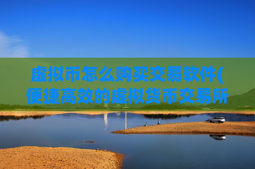 虚拟币怎么购买交易软件(便捷高效的虚拟货币交易所)