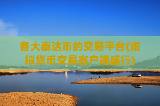 各大泰达币的交易平台(虚拟货币交易客户端盛行)