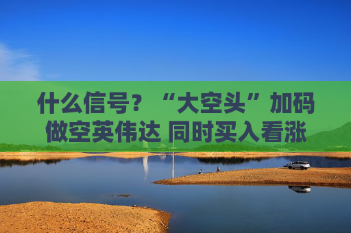 什么信号？“大空头”加码做空英伟达 同时买入看涨期权