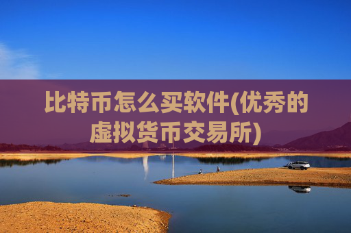 比特币怎么买软件(优秀的虚拟货币交易所)