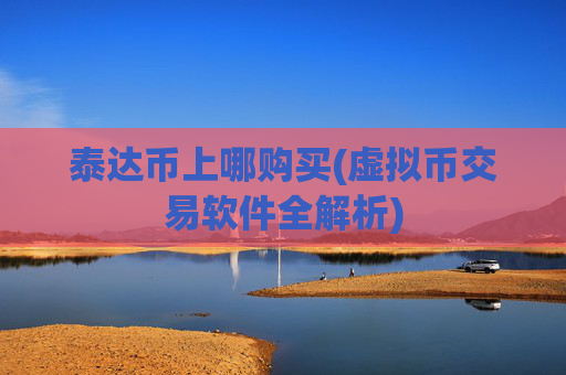 泰达币上哪购买(虚拟币交易软件全解析)
