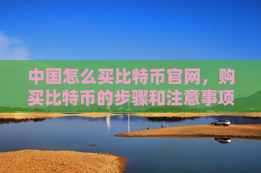 中国怎么买比特币官网，购买比特币的步骤和注意事项