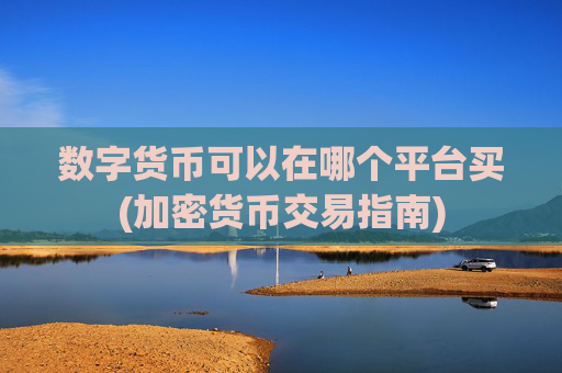 数字货币可以在哪个平台买(加密货币交易指南)