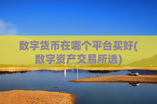 数字货币在哪个平台买好(数字资产交易所选)