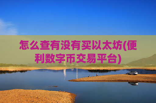 怎么查有没有买以太坊(便利数字币交易平台)