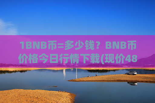 1BNB币=多少钱？BNB币价格今日行情下载(现价4806.04元)