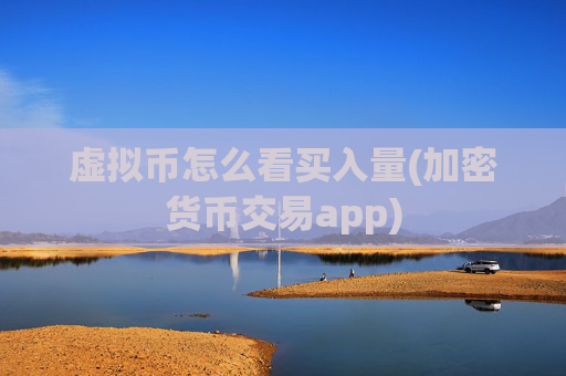 虚拟币怎么看买入量(加密货币交易app)