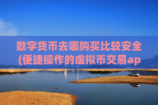 数字货币去哪购买比较安全(便捷操作的虚拟币交易app)