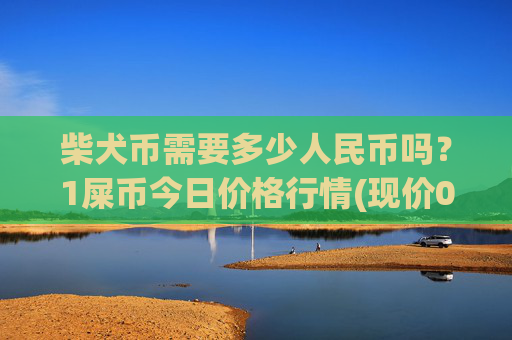柴犬币需要多少人民币吗?1屎币今日价格行情(现价0.00021876元)