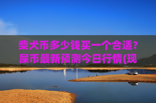 柴犬币多少钱买一个合适？屎币最新预测今日行情(现价0.00021813元)
