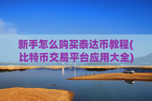 新手怎么购买泰达币教程(比特币交易平台应用大全)