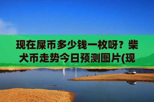 现在屎币多少钱一枚呀？柴犬币走势今日预测图片(现价0.00021891元)