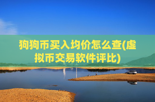 狗狗币买入均价怎么查(虚拟币交易软件评比)