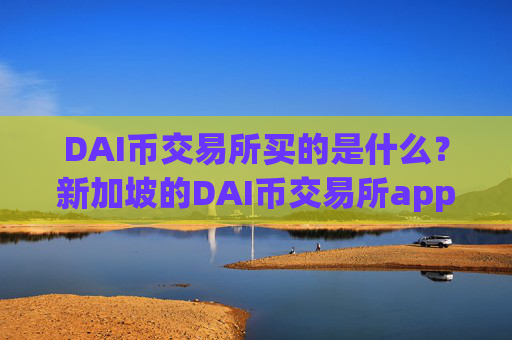 DAI币交易所买的是什么？新加坡的DAI币交易所app下载