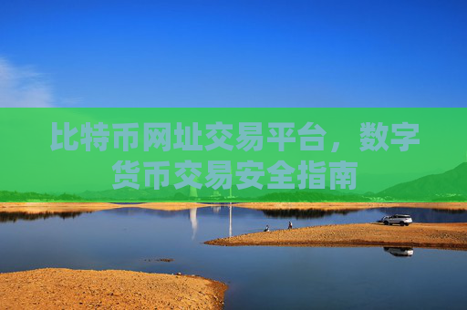 比特币网址交易平台，数字货币交易安全指南