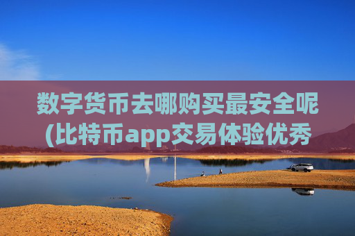 数字货币去哪购买最安全呢(比特币app交易体验优秀)