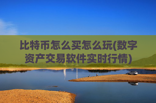 比特币怎么买怎么玩(数字资产交易软件实时行情)