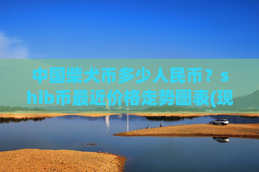中国柴犬币多少人民币？shib币最近价格走势图表(现价0.00021847元)