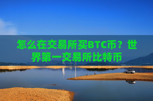 怎么在交易所买BTC币？世界第一交易所比特币